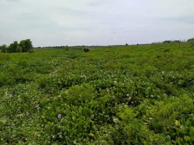 
 Pastikan Terkendalanya Penurunan Alat Berat, Ketua Komisi III DPRD Iwan Taruna Turun Langsung Lakukan Koordinasi dengan Pihak BWSS3