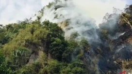 Kebakaran lahan di Nagari Tarantang, Kecamatan Harau Kabupaten Limapuluh Kota. Tangkapan layar/istimewa