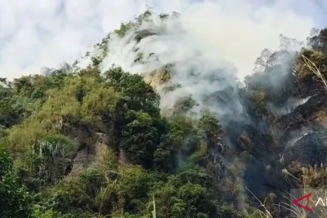 
 Kebakaran lahan di Nagari Tarantang, Kecamatan Harau Kabupaten Limapuluh Kota. Tangkapan layar/istimewa