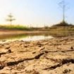 Ilustrasi kekeringan. Berdasarkan pantauan Badan Meteorologi, Klimatologi, dan Geofisika (BMKG), awal kemarau tahun 2025 telah terjadi sejak April lalu dan berlangsung secara bertahap.Foto DOK IST