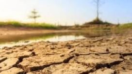 Ilustrasi kekeringan. Berdasarkan pantauan Badan Meteorologi, Klimatologi, dan Geofisika (BMKG), awal kemarau tahun 2025 telah terjadi sejak April lalu dan berlangsung secara bertahap.Foto DOK IST
