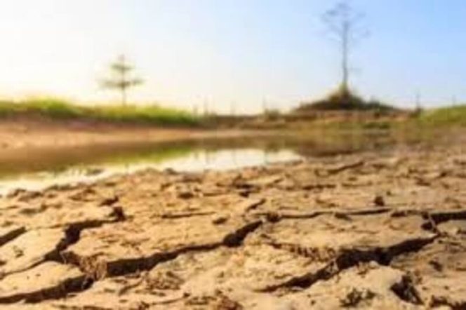 
 Ilustrasi kekeringan. Berdasarkan pantauan Badan Meteorologi, Klimatologi, dan Geofisika (BMKG), awal kemarau tahun 2025 telah terjadi sejak April lalu dan berlangsung secara bertahap.Foto DOK IST